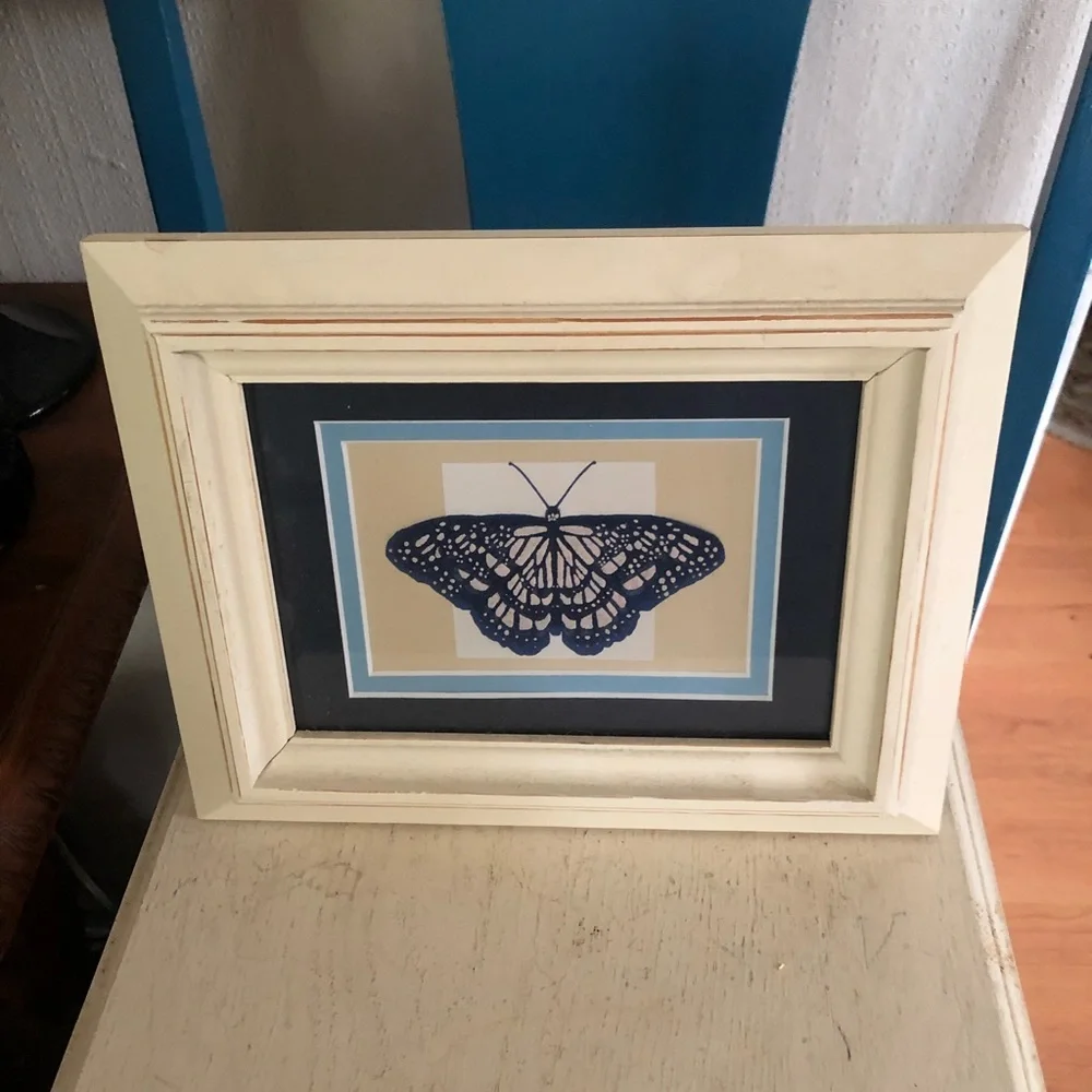 Framed Butterfly Print
